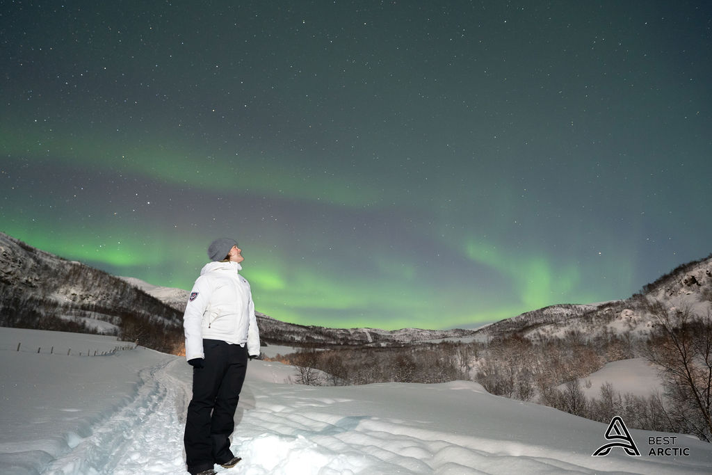 Best Arctic — Aurora Safari