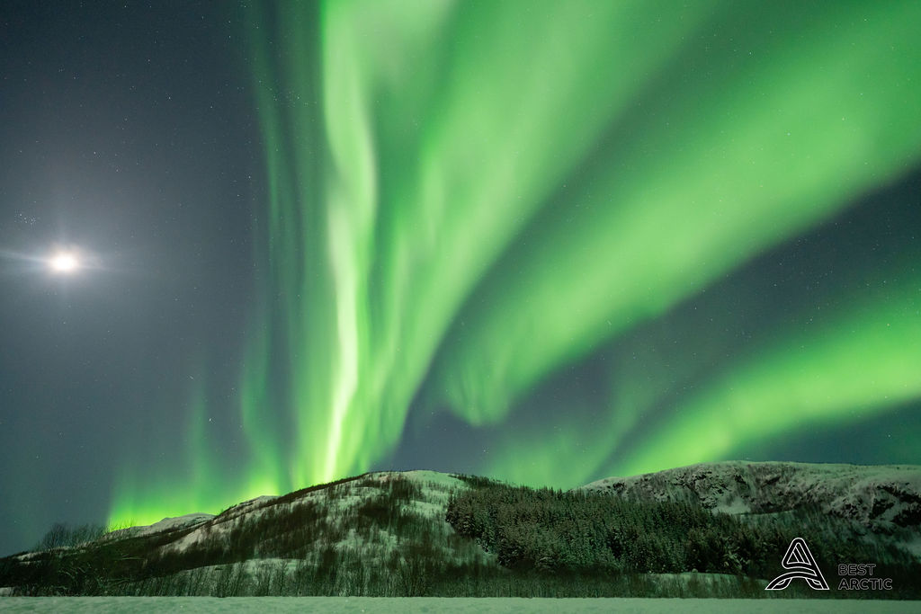 Northern Lights & Arctic Adventure