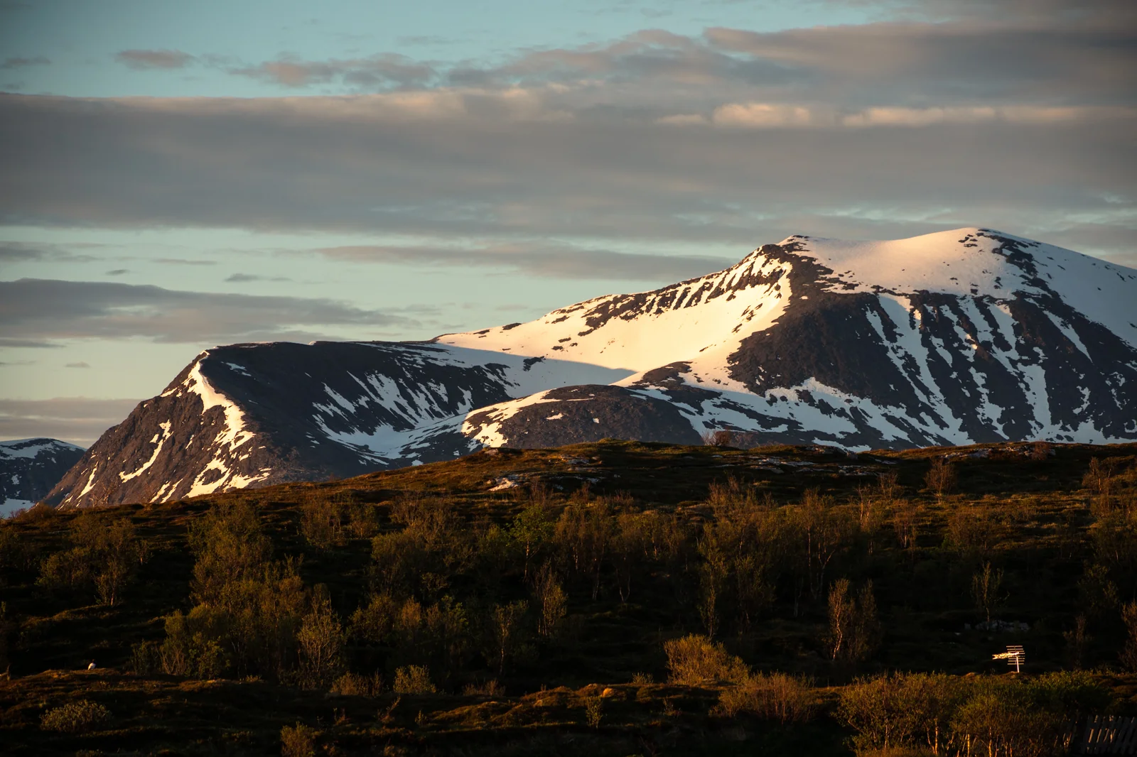 Snow lingering on the high peaks around Tromsø in late spring, with green vegetation in the foreground