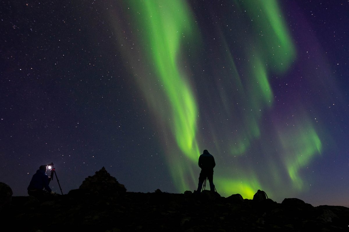 Photographers watching green and purple northern lights on a ridge near Tromsø