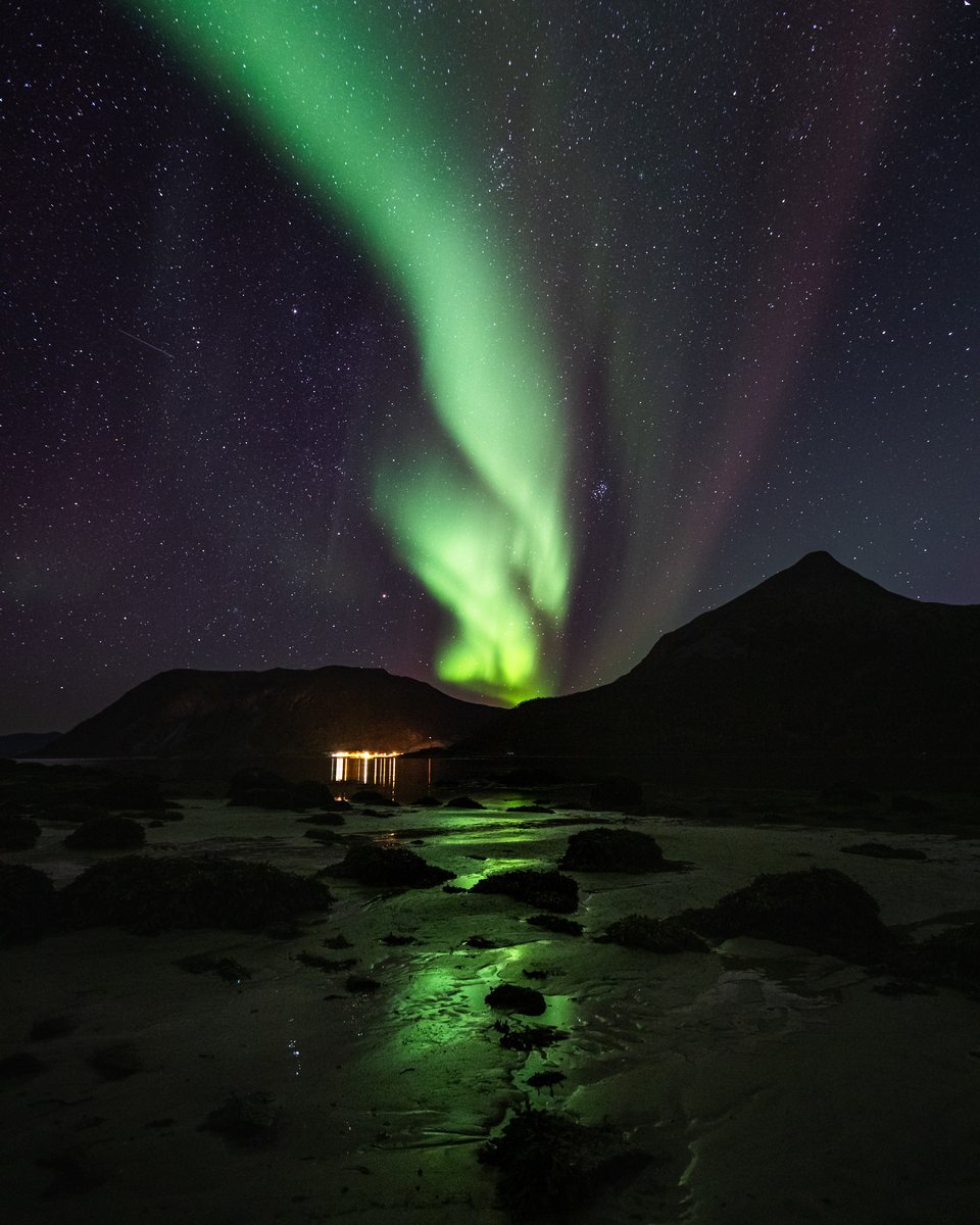 Green northern lights over mountains and a tidal beach near Tromsø in autumn
