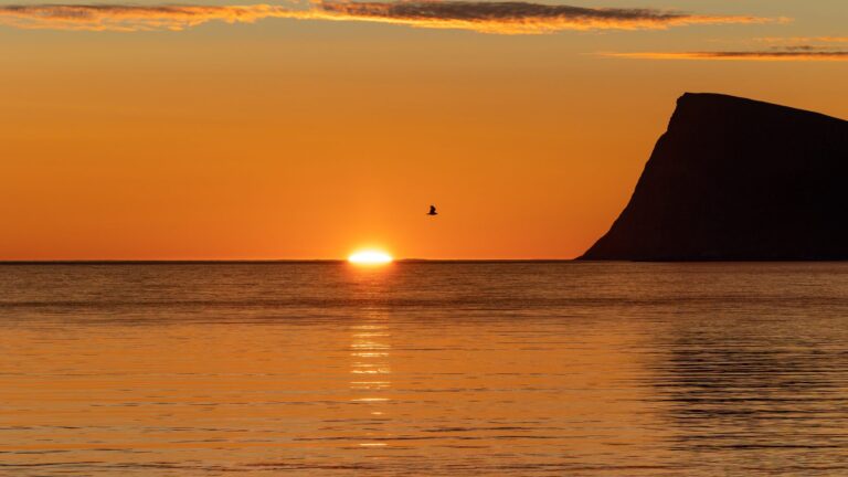 Tromsø in July: The Warmest Weeks