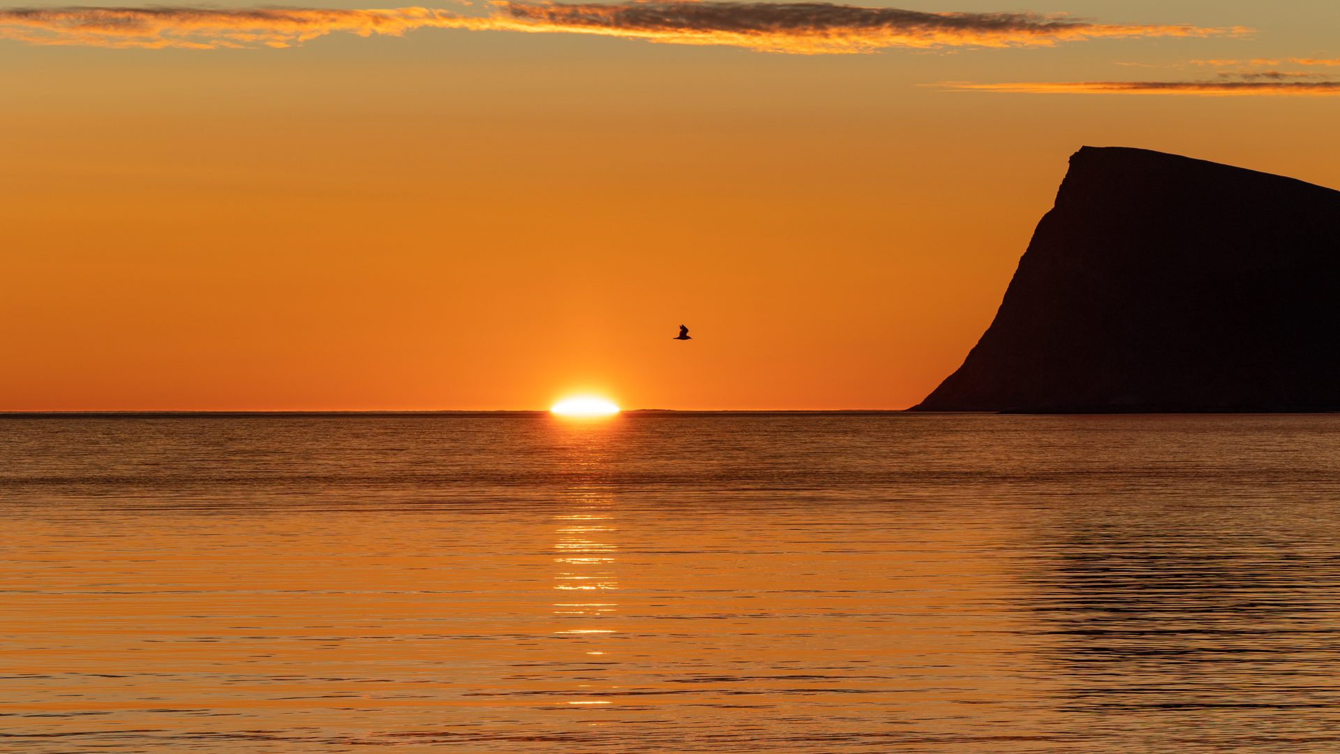 Tromsø in July: The Warmest Weeks