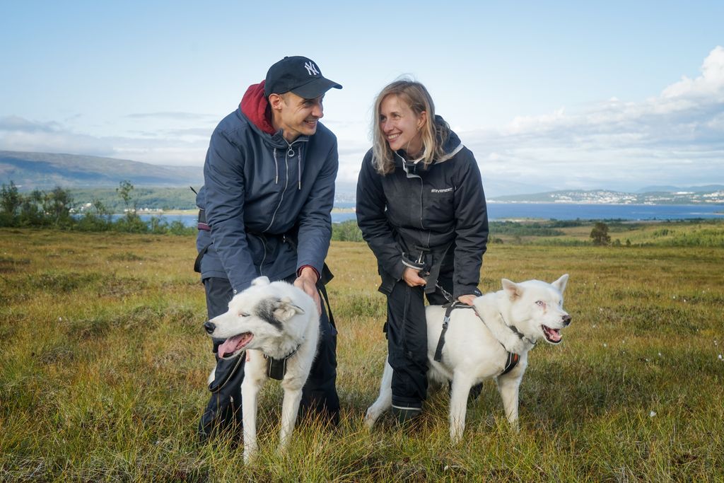 Alaskan huskies at Tromsø Villmarkssenter